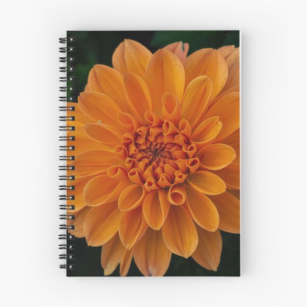 Item preview, Bright Orange Dahlia Bloom Macro Photography designed and sold by rilukama.