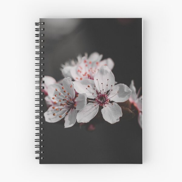Item preview, Delicate White Cherry Blossom Close Up Macro designed and sold by rilukama.