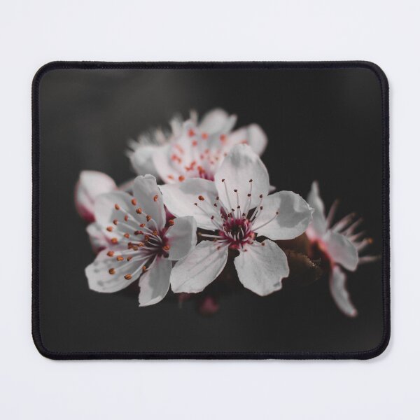 Item preview, Delicate White Cherry Blossom Close Up Macro designed and sold by rilukama.