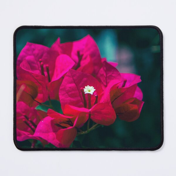 Item preview, Vibrant Magenta Bougainvillea Flowers Close Up designed and sold by rilukama.