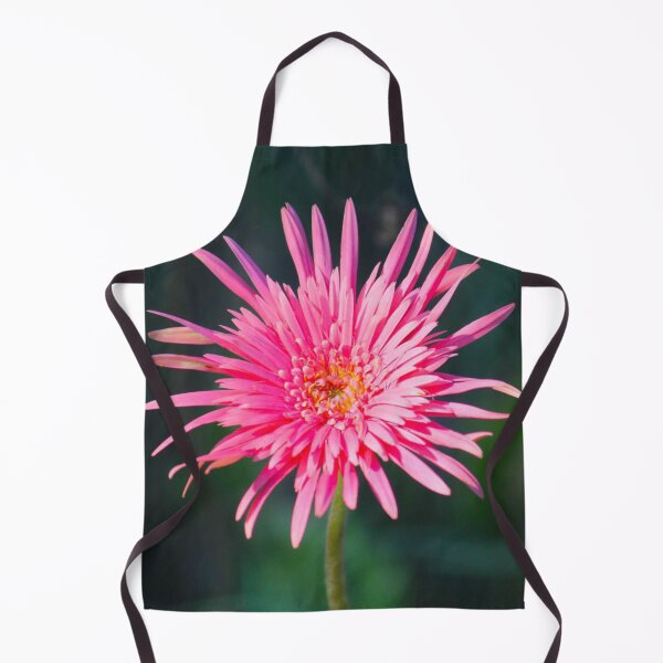 Item preview, Pink Spider Gerbera Daisy Bloom Photography designed and sold by rilukama.