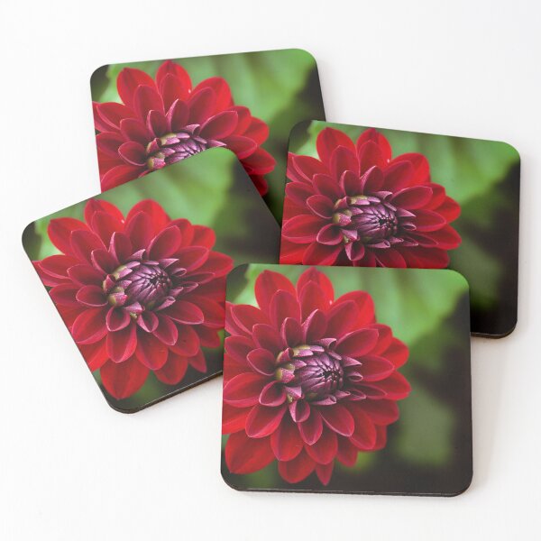 Item preview, Deep Red Burgundy Dahlia Flower Macro designed and sold by rilukama.