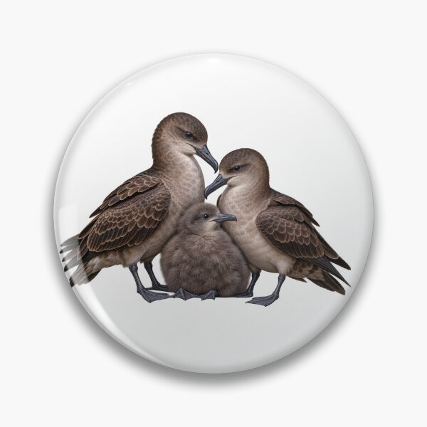Item preview, Short-tailed Shearwater Family of Gabo Island designed and sold by Colin Dixon.