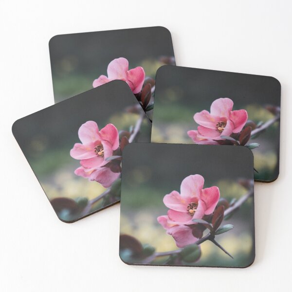 Item preview, Soft Pink Flowering Quince Blossom Close Up designed and sold by rilukama.