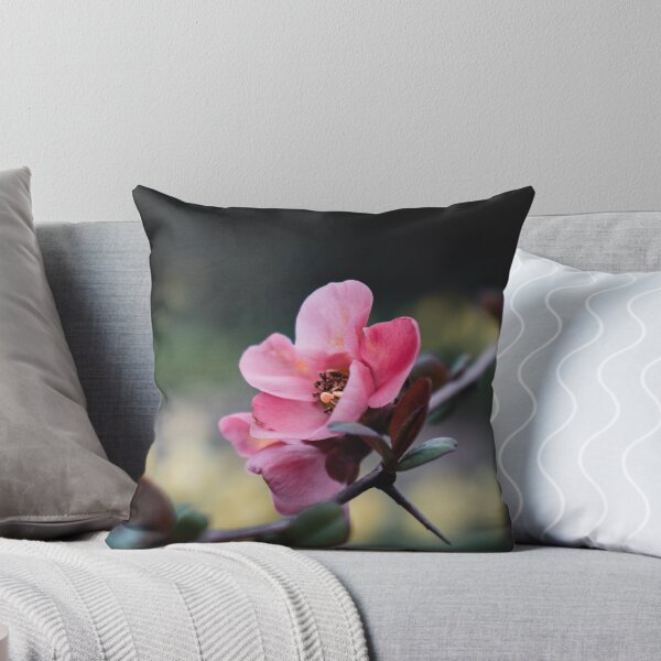 Item preview, Soft Pink Flowering Quince Blossom Close Up designed and sold by rilukama.