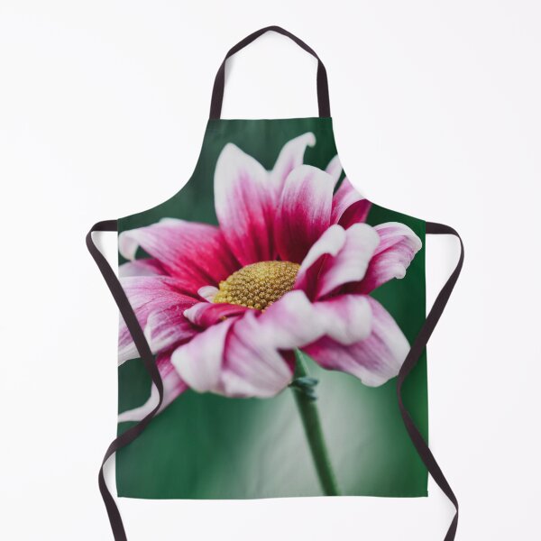 Item preview, Pink and White Two Tone Chrysanthemum Macro designed and sold by rilukama.