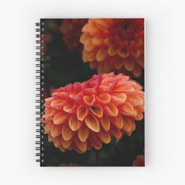 Item preview, Warm Orange and Red Dahlia Flower Macro designed and sold by rilukama.