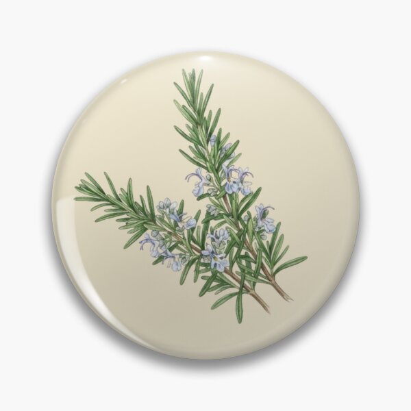 Item preview, Vintage Rosemary Botanical Herb Watercolor Illustration designed and sold by bvdesignart.