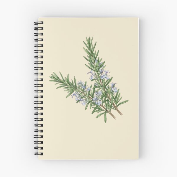 Item preview, Vintage Rosemary Botanical Herb Watercolor Illustration designed and sold by bvdesignart.