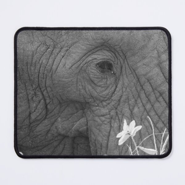 Item preview, Closeup of the eye of an African elephant designed and sold by Gilmore Photography.