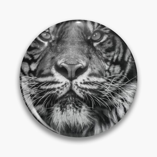 Aperçu de l'œuvre Black Tiger créée et vendue par Niliaa.