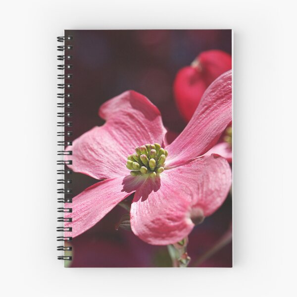 Item preview, Dogwood Flowering Pink designed and sold by Joy Watson - Natural Light Photography .