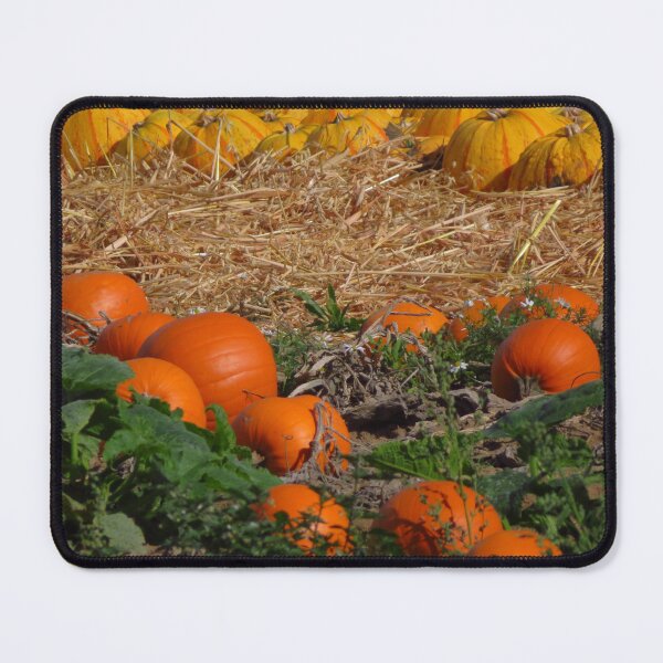 Item preview, Orange and Yellow Pumpkins designed and sold by wiggyofipswich.