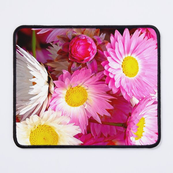 Item preview, Pretty Pink Daisies designed and sold by jaynerushton.