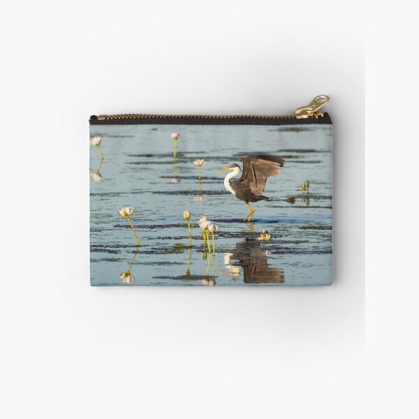 Item preview, A pied heron in the Kimberley, Australia designed and sold by Gilmore Photography.