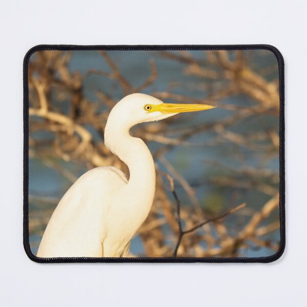 Item preview, A great egret in the Kimberley, Australia designed and sold by Gilmore Photography.