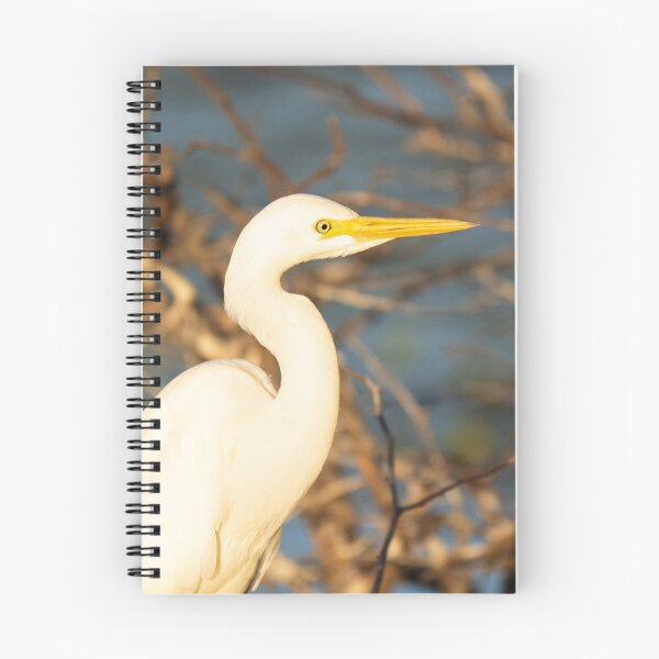 Item preview, A great egret in the Kimberley, Australia designed and sold by Gilmore Photography.