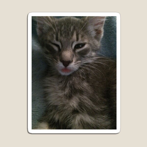 Item preview, Kalel Winking  designed and sold by Malkin101.