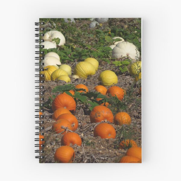 Item preview, Orange, Yellow and White Pumpkins designed and sold by wiggyofipswich.