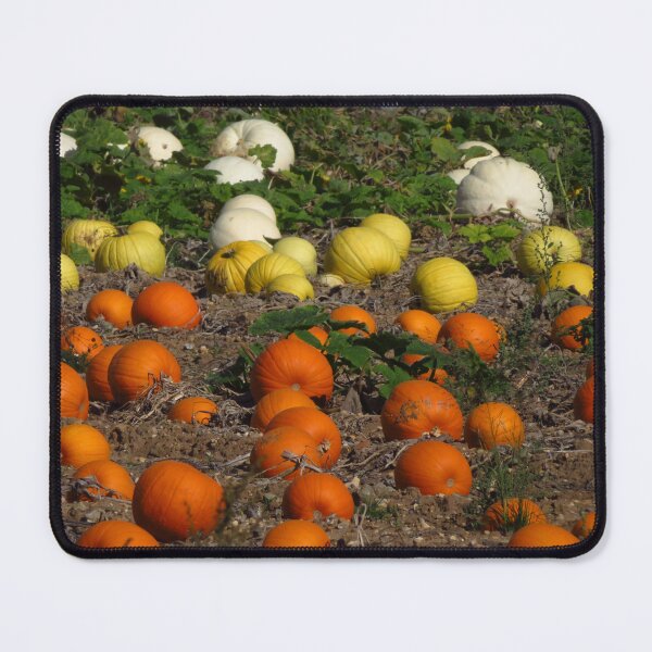 Item preview, Orange, Yellow and White Pumpkins designed and sold by wiggyofipswich.