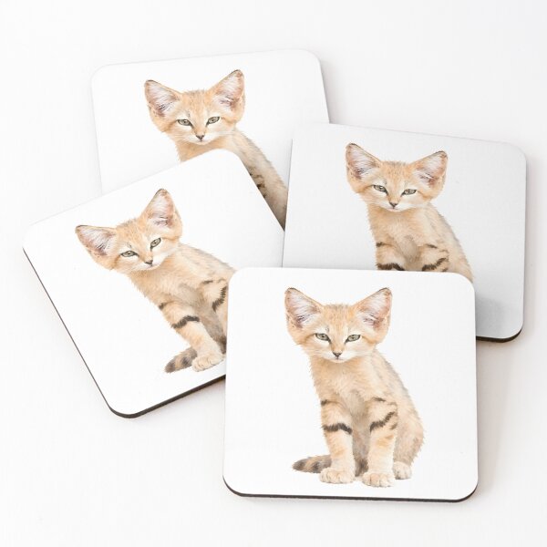 Aperçu de l'œuvre Chat des sables (Felis margarita) créée et vendue par HOMETOWN86.