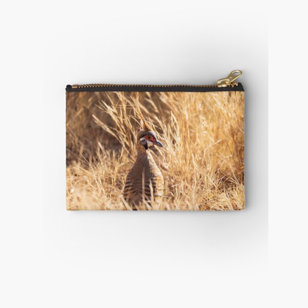 Item preview, A spinifex pigeon in Purnululu National Park designed and sold by Gilmore Photography.