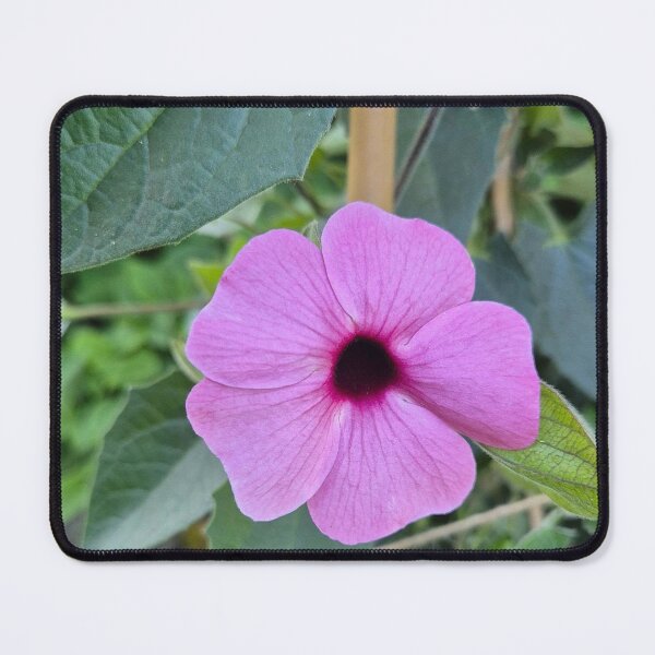 Item preview, Peaceful Bybit Garden Niche designed and sold by mviaisay.