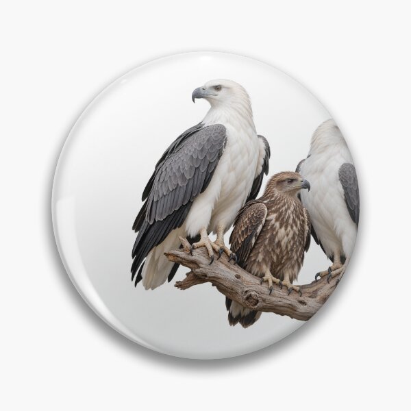 Item preview, White-bellied Sea-Eagle Family of Gabo Island designed and sold by Colin Dixon.