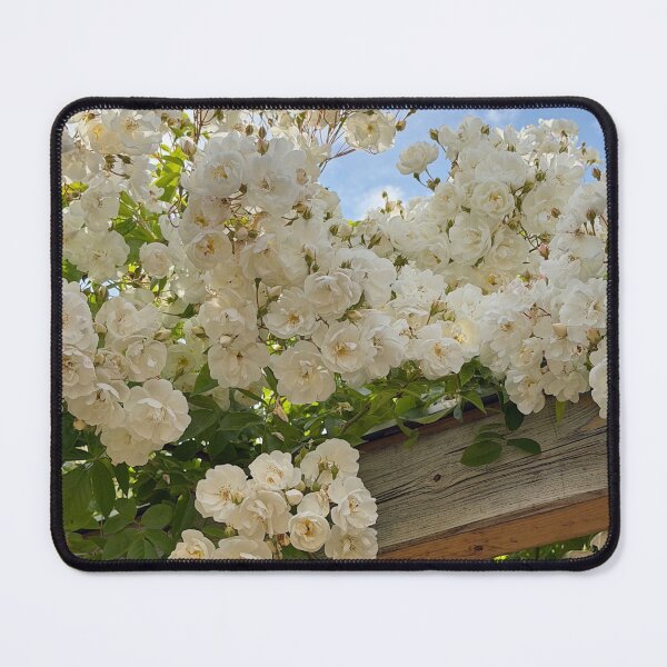 Item preview, Colorful Spirit Aerosystems cGarden Niche designed and sold by mviaisay.