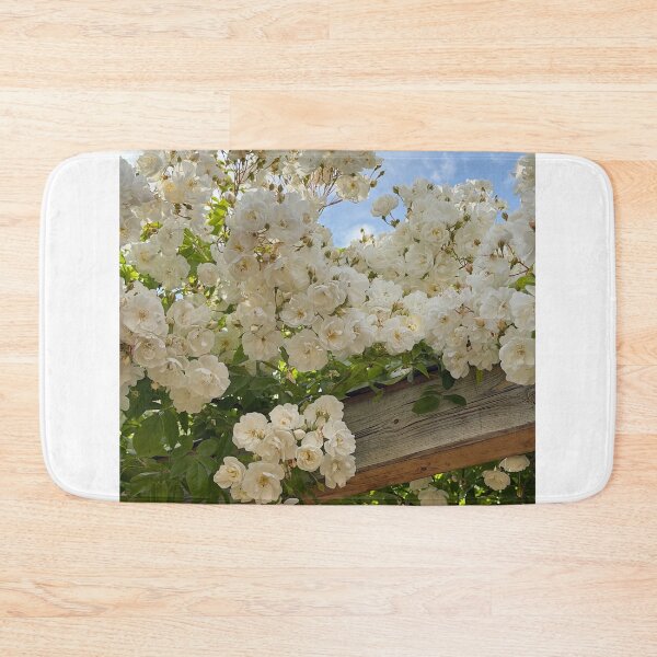 Item preview, Colorful Spirit Aerosystems cGarden Niche designed and sold by mviaisay.