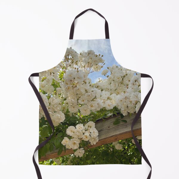 Item preview, Colorful Spirit Aerosystems cGarden Niche designed and sold by mviaisay.