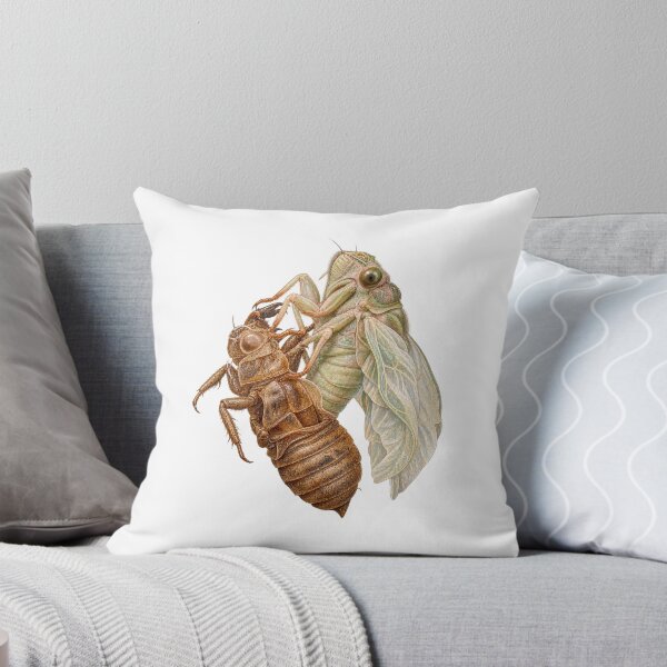 Item preview, The Empty Shell, Cicada Molt Illustration designed and sold by wildlifethings.