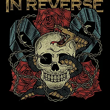 Artwork thumbnail, Falling In Reverse by BernasconiStore