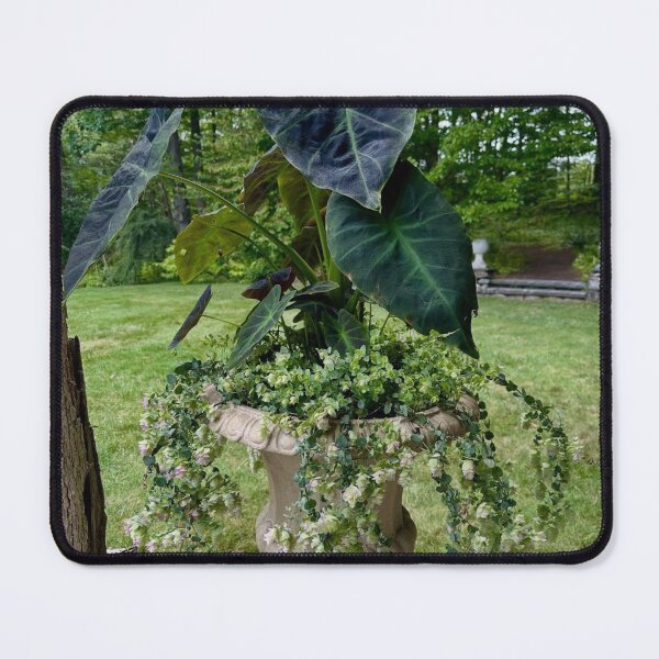 Item preview, Northern Brussels Airlines Outdoor Journey designed and sold by Kristianjusari.