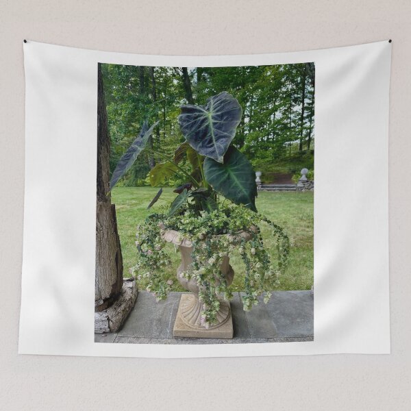 Item preview, Northern Brussels Airlines Outdoor Journey designed and sold by Kristianjusari.