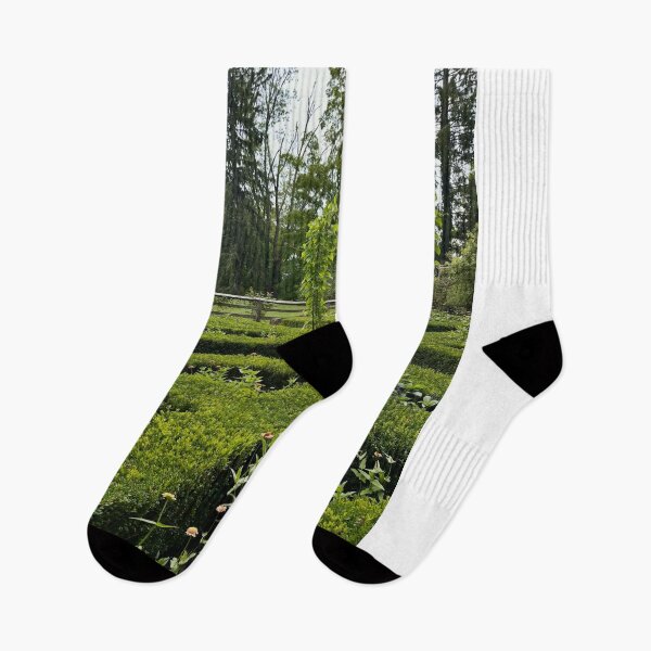 Item preview, Northern Ringling College of Art and Design aWild Explorer designed and sold by Kristianjusari.