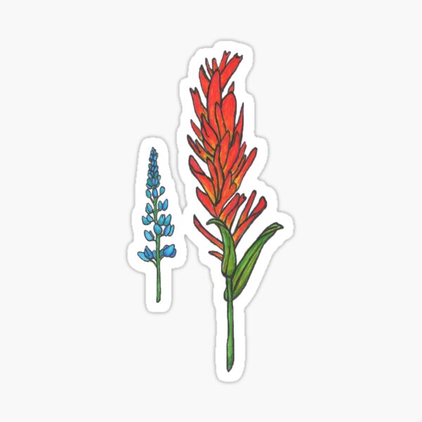 Got spontaneous matching Indian paintbrush flower tattoos with thebe   TikTok