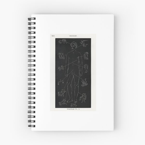 Item preview, Diagram no.3 print in high resolution. Digitally enhanced from our own edition of Solar Biology by Hiram Erastus Butler (1841–1916) designed and sold by shopceline.