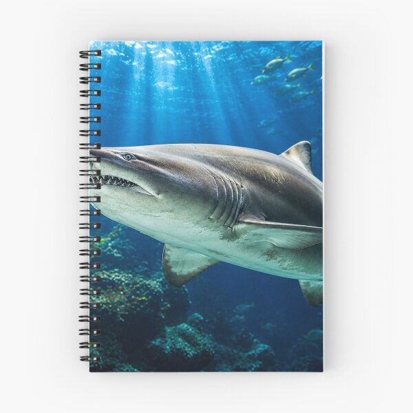 Item preview, Apex Predator, Sand Tiger Shark at The Deep in Hull designed and sold by Astute-Artio-Photography.