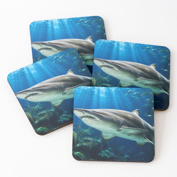 Item preview, Apex Predator, Sand Tiger Shark at The Deep in Hull designed and sold by Astute-Artio-Photography.