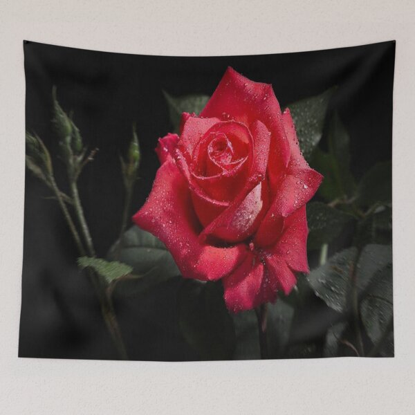Item preview, Red rose designed and sold by Bayo46.