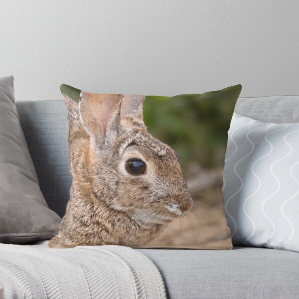 Item preview, Quiet Moment — Wild Rabbit Portrait designed and sold by Kimberly Palmer.