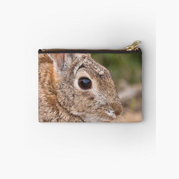 Item preview, Quiet Moment — Wild Rabbit Portrait designed and sold by Kimberly Palmer.