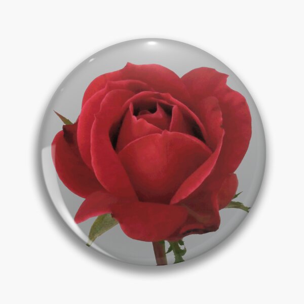 Item preview, Beautiful Red Rose with Green Leaves designed and sold by darksteel101.