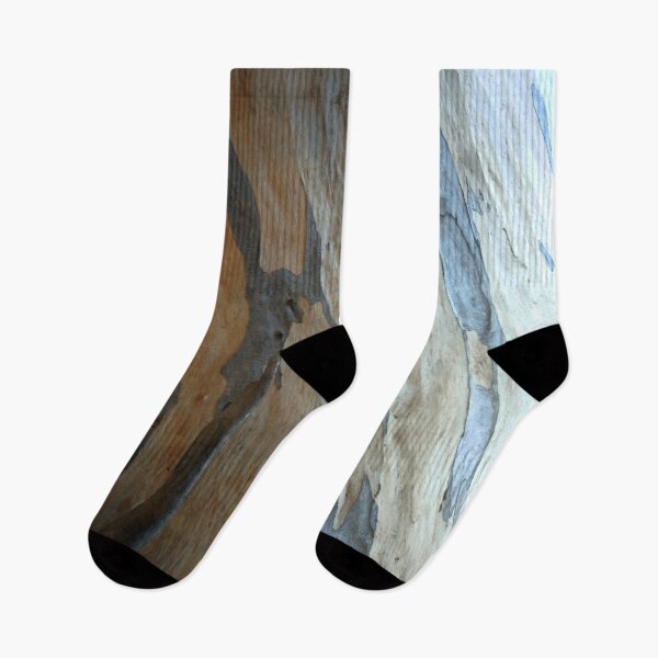 Item preview, Exposed Eucalyptus Woodland designed and sold by taiche.