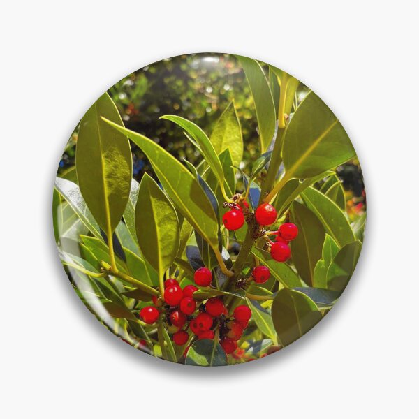 Item preview, Bright Red Berries, Shiny Leaves and Autumn Sunshine designed and sold by Violaman.