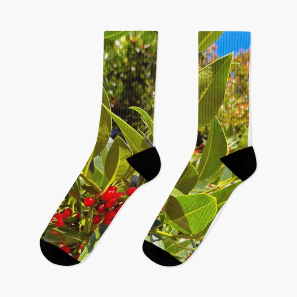 Item preview, Bright Red Berries, Shiny Leaves and Autumn Sunshine designed and sold by Violaman.