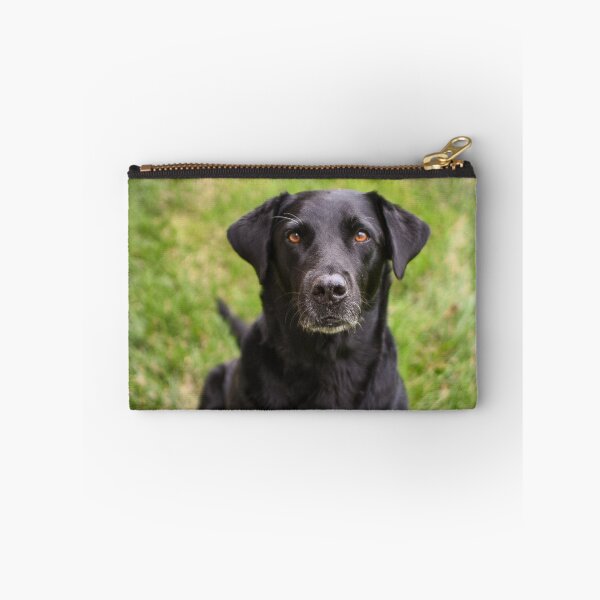 Item preview, Black Labrador Retriever Sitting In Grass designed and sold by VanGaldo.