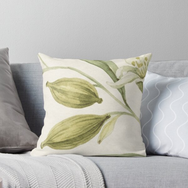 Item preview, Cardamom Pods Botanical Pattern designed and sold by SassyArtistry.