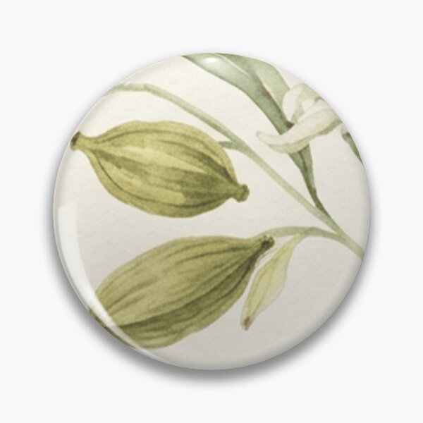 Item preview, Cardamom Pods Botanical Pattern designed and sold by SassyArtistry.